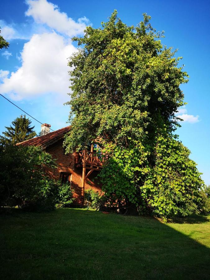 Gospodarstwo Agroturystyczne "Dom Na Kolonii" Prostki Exterior photo